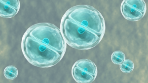 celulas_madre_mesenquimales_evidencia_cientifica_y_realidad_clinica_en_medicina_regenerativa