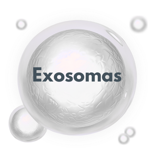 exosomas