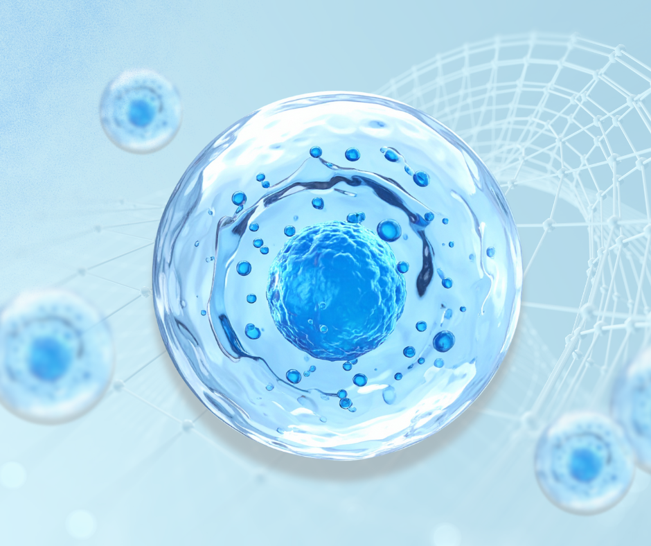 lishe_nutritional_terapias_regenerativas