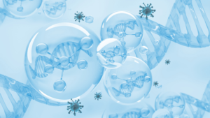 nrf2_regulador_maestro_del_equilibrio_redox