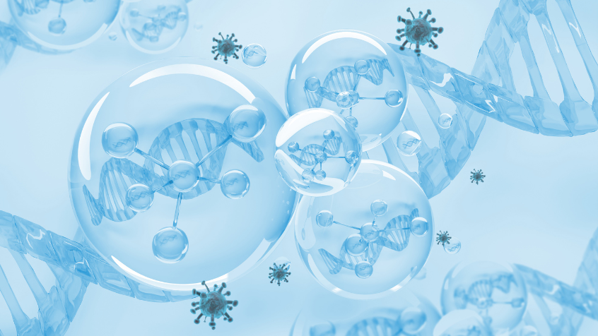 nrf2_regulador_maestro_del_equilibrio_redox